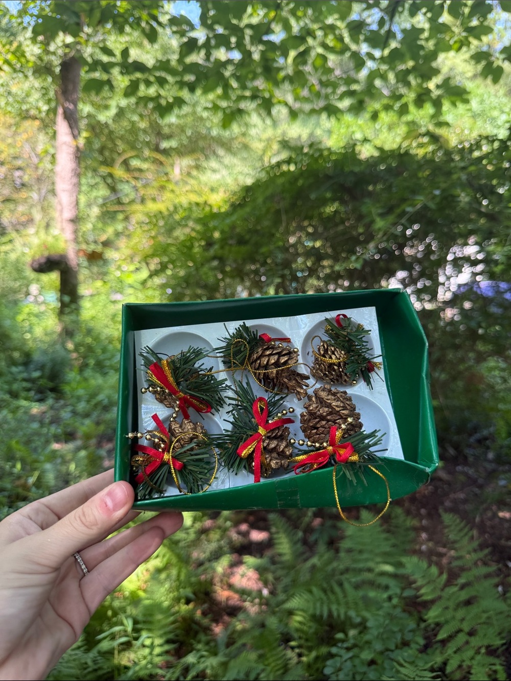 Dansk Gold Trim Pinecone Ornaments with Red Bows and Green Sprigs - 3 Boxes of 6
